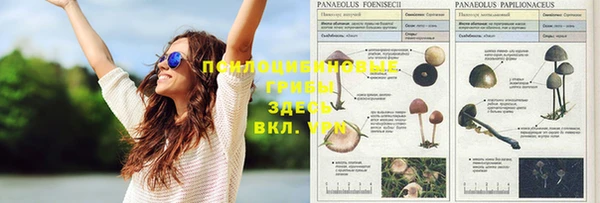 тгк Каменск-Шахтинский