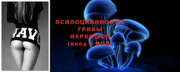тгк Каменск-Шахтинский