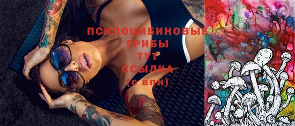 ГАЛЛЮЦИНОГЕННЫЕ ГРИБЫ Каменногорск