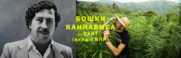 ГАЛЛЮЦИНОГЕННЫЕ ГРИБЫ Каменногорск